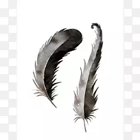 Óðëӡ»¨ÑÕÉ«-Óðë-¿ÕÈôÍø Óðëӡ»¨ÑÕÉ«-Óðë-¿ÕÈôÍø