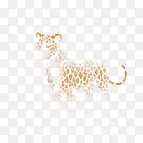 猎豹须猫陆生动物猎豹-空若网 猎豹须猫陆生动物猎豹-空若网