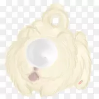 犬科狗,毛皮,鼻子,-狗-空若网 犬科狗,毛皮,鼻子,-狗-空若网