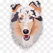 繁殖组(狗)鼻子摄影-狗-空若网 繁殖组(狗)鼻子摄影-狗-空若网