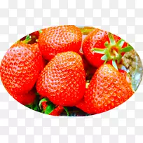 ��ݮ�л�ʳƷ��������ʳƷ����������������ˮ��-��ݮ-������