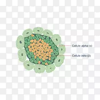 环有机圈-空若网 环有机圈-空若网