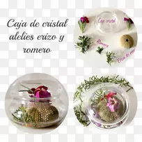 花瓶设计玻璃杯-花-空若网 花瓶设计玻璃杯-花-空若网