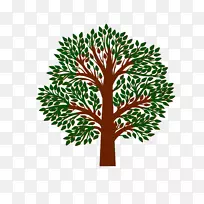 “绿色山墙的安妮”,“安妮·雪莉圣经”,引用上帝的旨意-空若网 “绿色山墙的安妮”,“安妮·雪莉圣经”,引用上帝的旨意-空若网