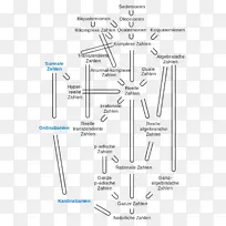 模板简历-Zahlen-空若网 模板简历-Zahlen-空若网