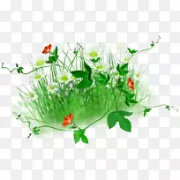 �ջ����.�̲�С��װ�����-������