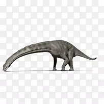 恐龙野生动物-恐龙-空若网 恐龙野生动物-恐龙-空若网