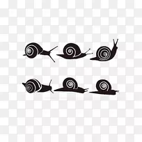 昆虫正交圈-各种蜗牛-空若网 昆虫正交圈-各种蜗牛-空若网