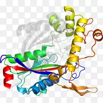 ƽ������л�����������-������