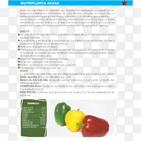 材料字体设计-空若网 材料字体设计-空若网