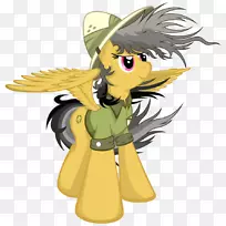 马昆虫传奇生物剪贴画-马-空若网 马昆虫传奇生物剪贴画-马-空若网