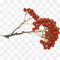 �ۺ챬�׻����������-��³��˹-������