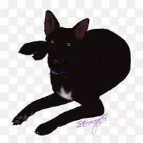 澳大利亚雪碧犬培育小狗-空若网 澳大利亚雪碧犬培育小狗-空若网