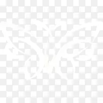 �����������-������