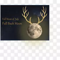 android apache cordova鹿角驯鹿t恤-android-空若网 android apache cordova鹿角驯鹿t恤-android-空若网