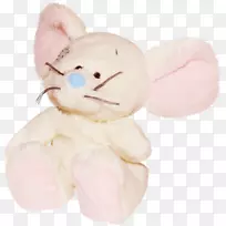 欧洲兔子-可爱的兔子-空若网 欧洲兔子-可爱的兔子-空若网