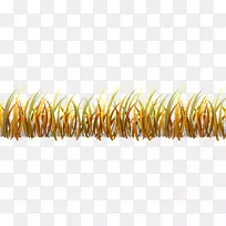 ÏÂÔØ»Æ»Æ²Ý-¿ÕÈôÍø ÏÂÔØ»Æ»Æ²Ý-¿ÕÈôÍø