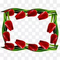 �����㻨���л�����������-������