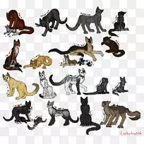 大猫狮子陆生动物尾猫-空若网 大猫狮子陆生动物尾猫-空若网