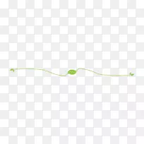 叶草植物茎叶-空若网 叶草植物茎叶-空若网