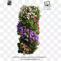 花卉设计玫瑰花灌木玫瑰-空若网 花卉设计玫瑰花灌木玫瑰-空若网