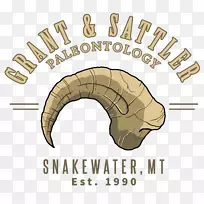 博客播客贝弗利山电视节目行军蚂蚁-空若网 博客播客贝弗利山电视节目行军蚂蚁-空若网