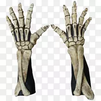 ���۹Ǽ���ָ�����ֹǼ�-������