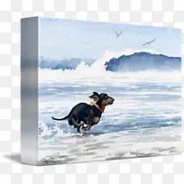 ´ï¿Ë˹Ȯ·±Ö³Ë®²Ê»ÒÕÊõ-¿ÕÈôÍø ´ï¿Ë˹Ȯ·±Ö³Ë®²Ê»ÒÕÊõ-¿ÕÈôÍø