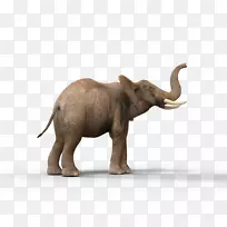 印度象非洲象牙艺术非洲象-空若网 印度象非洲象牙艺术非洲象-空若网
