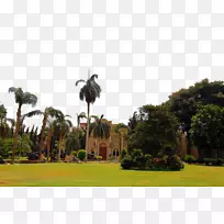 ������������-��������ͼƬ14-������