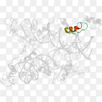 �滭/m/02csf������������-ת¼����-������