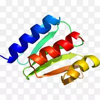 食品剪贴画转录因子-空若网 食品剪贴画转录因子-空若网