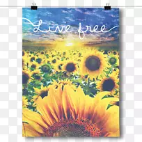 花药主要抑郁障碍海报-向日葵田-空若网 花药主要抑郁障碍海报-向日葵田-空若网