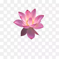 ��������������-����-������