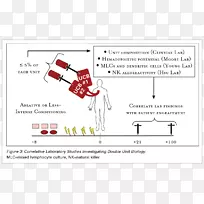 �ļ��߽����-������