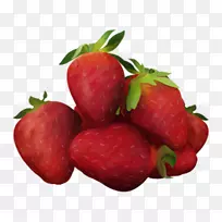 ��ݮ��ʵ��ӣ�Һ��ݮ-������