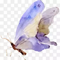 蝴蝶水彩画剪贴画-蝴蝶-空若网 蝴蝶水彩画剪贴画-蝴蝶-空若网