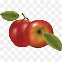 ƻ��ͼ��-��ƻ��PNGͼ��-������