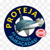 ˹��������Ӿ�أ������ݣ��������ݣ���ѧ-������