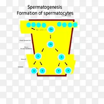 线点角字体线-空若网 线点角字体线-空若网
