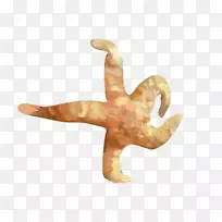 海星水彩画.水彩画海星-空若网 海星水彩画.水彩画海星-空若网