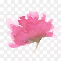 Ë®²Ê»¾Õ»¨-¾Õ»¨-¿ÕÈôÍø Ë®²Ê»¾Õ»¨-¾Õ»¨-¿ÕÈôÍø