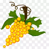 ��ͨ�����ٱ�ֲ��-����-������