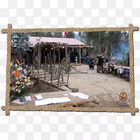 树木娱乐-树-空若网 树木娱乐-树-空若网