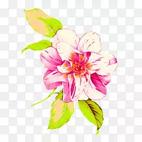 牡丹插画-牡丹-空若网 牡丹插画-牡丹-空若网