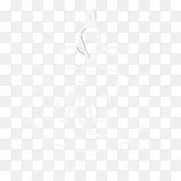 白色字体-空若网 白色字体-空若网