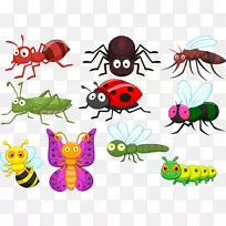 甲虫卡通插图-昆虫世界-空若网 甲虫卡通插图-昆虫世界-空若网