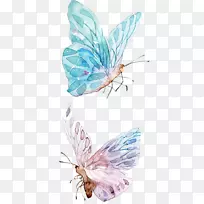 水彩画剪贴画-蓝色蝴蝶-空若网 水彩画剪贴画-蓝色蝴蝶-空若网