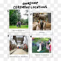 广告树娱乐-树-空若网 广告树娱乐-树-空若网