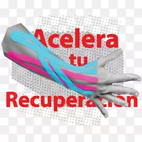 Ĵָ���ױ�־-���-������